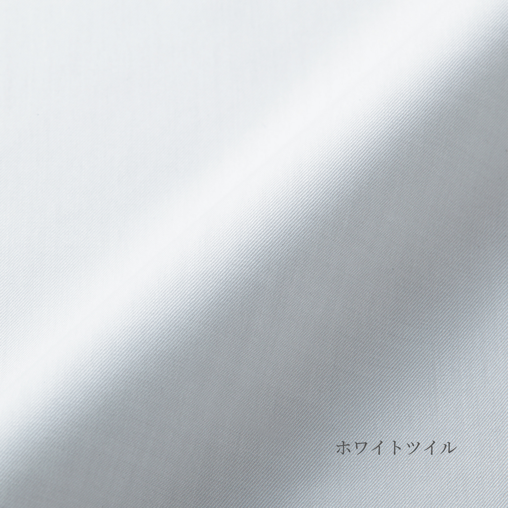 ボタンダウン/ホワイトツイル