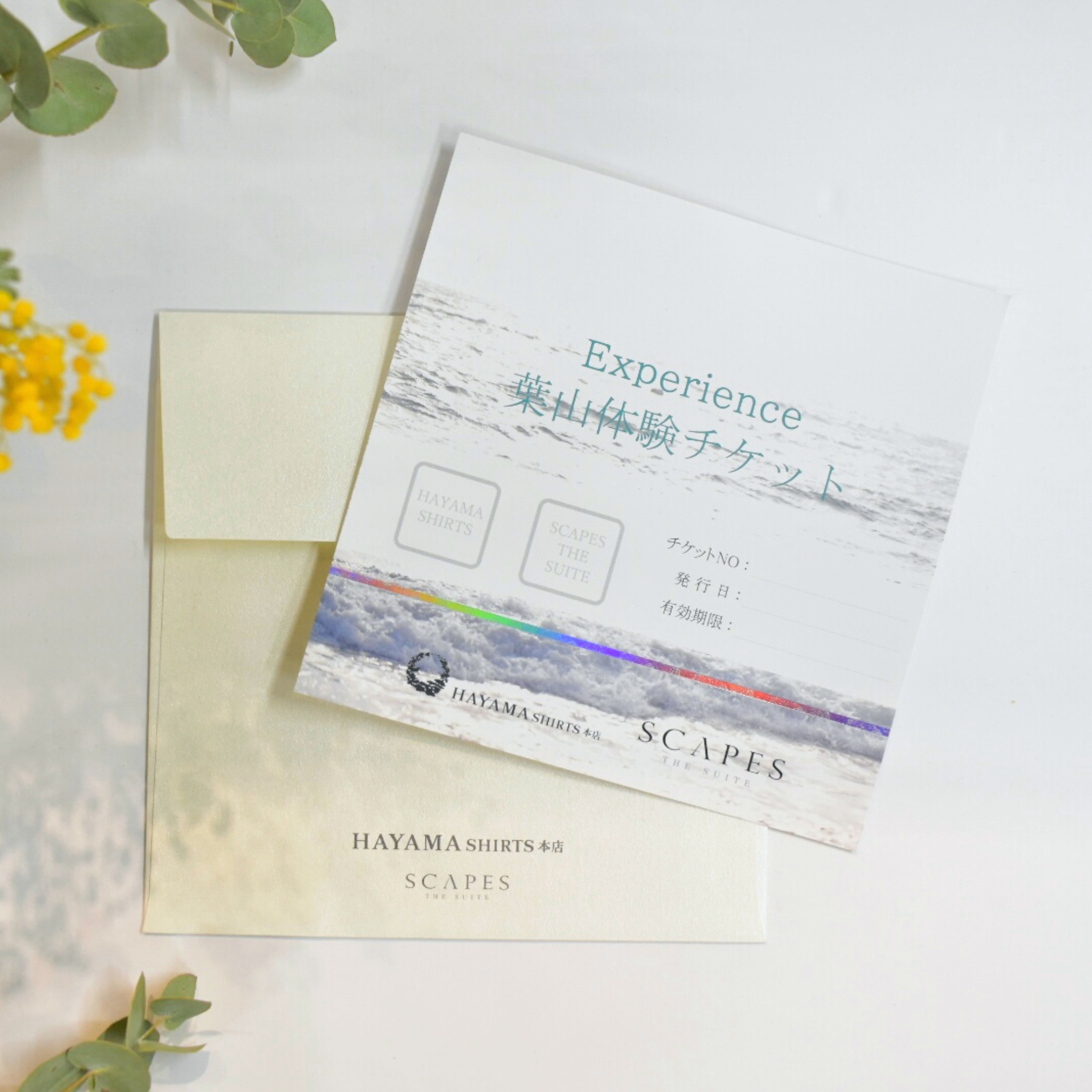 葉山体験チケット