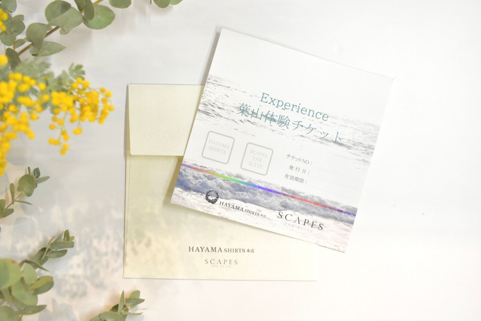 葉山体験チケット