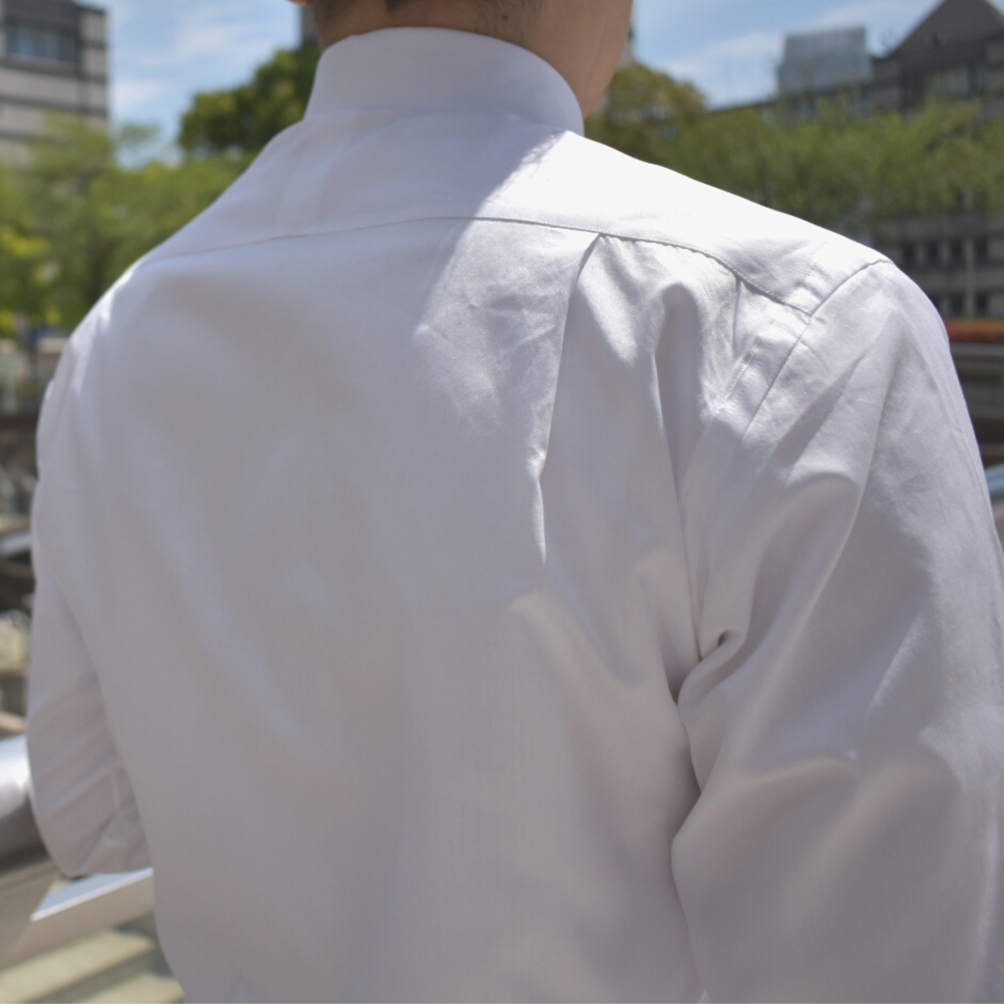 セミワイド/ホワイトブロード